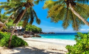 Știri de azi | Scandalul persoanelor înşelate cu excursii de Revelion în Zanzibar – Asociaţia Naţională a Agenţiilor de Turism le recomandă turiştilor să apeleze la agenții - Știri de azi | 