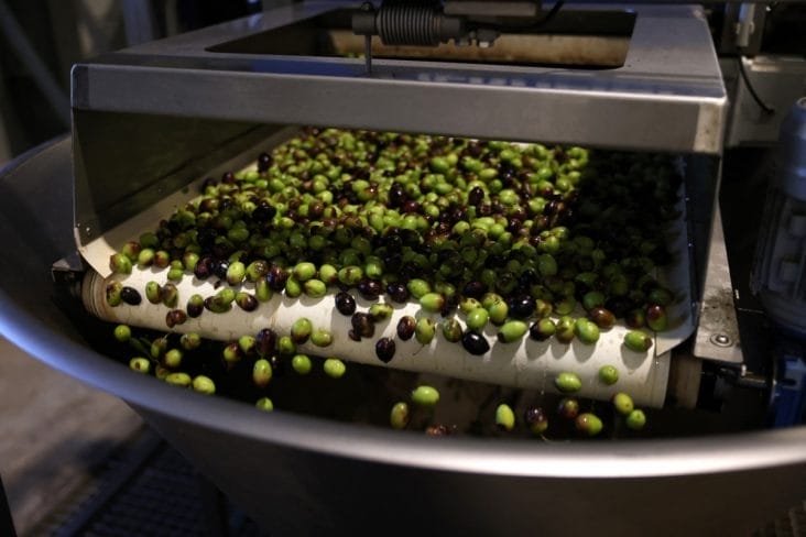 Știri de azi | Uleiul de măsline vândut în România e plin de ceară și steroli modificați: ANPC anunță amenzi uriașe - Știri de azi | 