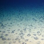 Știri de azi | Norvegia amână planurile de exploatare minieră în zona arctică - Știri de azi | 