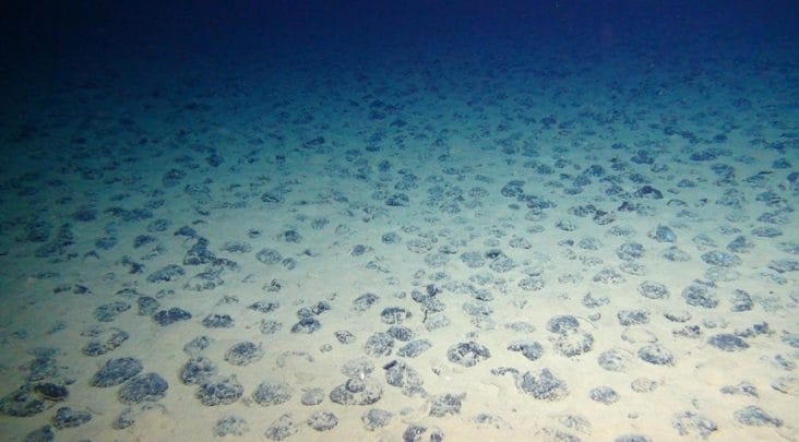 Știri de azi | Norvegia amână planurile de exploatare minieră în zona arctică - Știri de azi | 