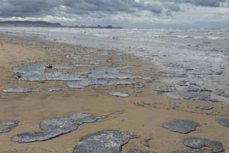anapa-tw2.png - Știri de azi Știri de azi | Peste 30 de cetacee găsite moarte în Marea Neagră, după scufundarea a două petroliere în preajma Crimeei - Știri de azi |