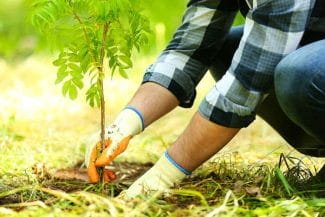 Știri de azi | Venituri impresionante pentru Romsilva: Activitățile cinegetice și piscicultura aduc aproape 6,6 milioane de euro - Știri de azi | 