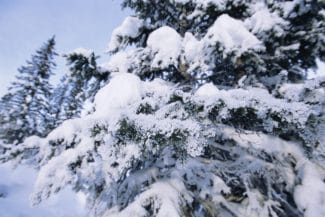 media-172706230422297500.jpg - Știri de azi Știri de azi | Strat de zăpadă de 55 centimetri în Munţii Rodnei din Maramureș - Știri de azi |