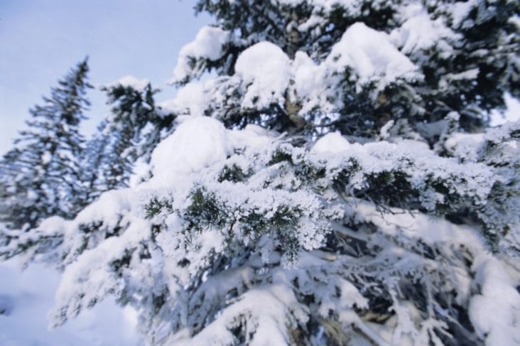 media-172706230422297500.jpg - Știri de azi Știri de azi | Strat de zăpadă de 55 centimetri în Munţii Rodnei din Maramureș - Știri de azi |