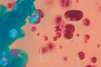 media-173615003260348500.jpg - Știri de azi Știri de azi | O enzimă a fost descoperită ca factor cheie în dezvoltarea cancerului pancreatic - Știri de azi |