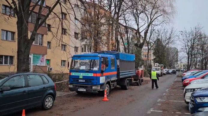 Știri de azi | Timişoara: O femeie a fost dusă de urgenţă la spital, după ce i-a căzut o creangă de copac în cap/ Ea a intrat într-o zonă delimitată, unde aveau loc lucrări de toaletare a pomilor - Știri de azi | 