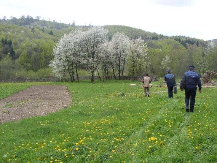 Știri de azi | Cadavrul unui bărbat dat dispărut înainte de Crăciun, găsit pe un câmp din judeţul Timiş - Știri de azi | 