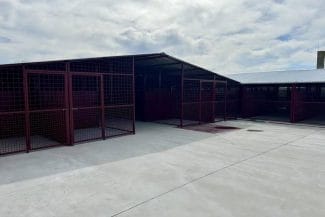 485695117-998297045788766-7810736660588533268-n.jpg - Știri de azi Știri de azi | Capacitatea de cazare a adăpostului ASPA Mihăileşti, mărită / Ţarcuri comune mari şi spaţioase pentru câini, dar şi un loc de joacă pentru patrupede, în urma lucrărilor care au durat două luni – FOTO - Știri de azi |