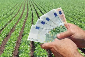 agricultura.jpg - Știri de azi Știri de azi | Agenţia de Plăţi şi Intervenţie pentru Agricultură primeşte de luni Cererile de plată pentru anul 2025 - Știri de azi |