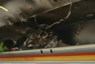 avion-hong-kong-x.png - Știri de azi Știri de azi | Cabina unui avion al companiei Hong Kong Airlines a luat foc în timpul zborului – VIDEO - Știri de azi |