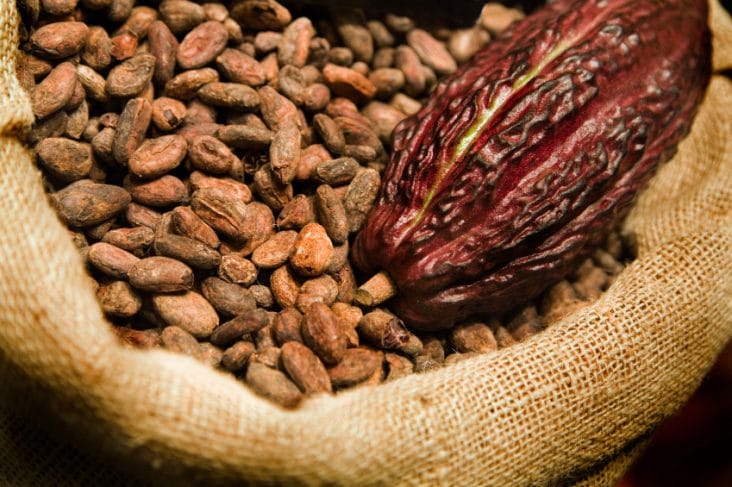 cacao.jpg - Știri de azi Știri de azi | Traderii şi procesatorii de cafea îşi reduc achiziţiile la minimum din cauza creşterii puternice a preţurilor - Știri de azi |