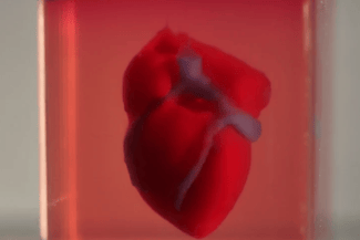 inima3d-taldvir.png - Știri de azi Știri de azi | Cardiologii recomandă respectarea tratamentului prescris pentru prevenirea şi controlul bolilor cardiovasculare: În România, mortalitatea cardiovasculară depăşeşte 50% din totalul deceselor anuale, iar prevalenţa hipertensiunii la bărbaţi depăşeşte 50% - Știri de azi |