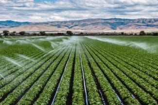 Știri de azi | Percheziţii ale procurorilor europeni la Galaţi, într-un dosar de fraudă estimată la 850.000 de euro / O cooperativă agricolă ar fi obţinut cu documente false fonduri pentru modernizarea unui sistem de irigaţii / Două persoane, sub control judiciar - Știri de azi | 