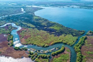 media-172596356256957600.jpg - Știri de azi Știri de azi | Administraţia Deltei vrea să reia procesul de incendiere controlată a suprafeţelor stuficole - Știri de azi |