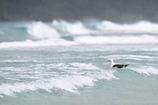 media-173761543590231300.jpg - Știri de azi Știri de azi | Stațiunile de la Marea Neagră se pregătesc să primească turiștii în minivacanța de Paște - Știri de azi |