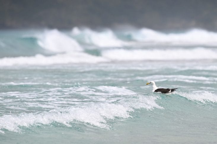 media-173761543590231300.jpg - Știri de azi Știri de azi | Stațiunile de la Marea Neagră se pregătesc să primească turiștii în minivacanța de Paște - Știri de azi |