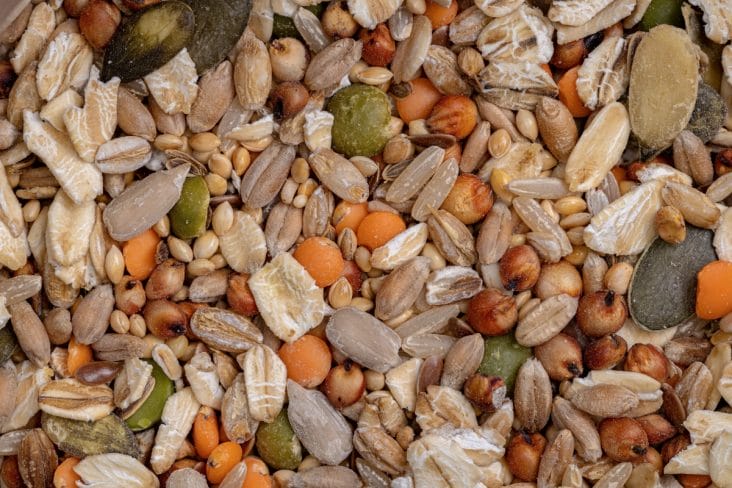 media-174075254886404700.jpg - Știri de azi Știri de azi | Suntem asigurați în caz de foamete mondială. Depozitul Apocalipsei a primit 14.000 de soiuri noi de semințe pentru conservare - Știri de azi |