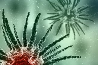 media-174098546504269800.jpg - Știri de azi Știri de azi | Infecția letală care lovește după COVID-19: Ce este ‘ciuperca neagră’ care devorează carnea și vasele de sânge? - Știri de azi |