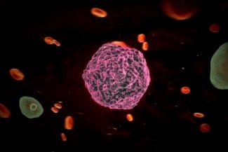 media-174134755520324100.jpg - Știri de azi Știri de azi | VIDEO Alertă sanitară lângă România: febra aftoasă reapare în Europa - Știri de azi |