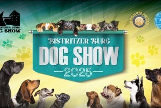 media-174194908860007900.jpg - Știri de azi Știri de azi | Sute de câini îşi vor disputa titluri de frumuseţe, în cadrul unei competiţii internaţionale din Transilvania - Știri de azi |
