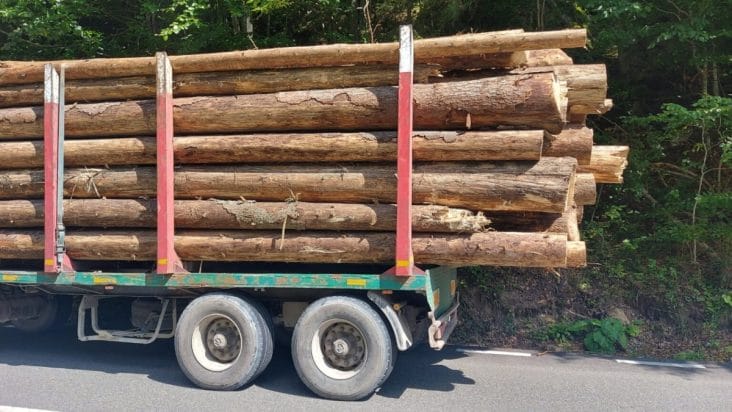 Știri de azi | Poliţiştii clujeni au confiscat un camion în valoare de 250.000 de euro, într-un dosar de infracţiuni silvice - Știri de azi | 