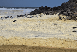 media-174227692293355100.png - Știri de azi Știri de azi | VIDEO O spumă foarte ciudată a apărut în apă, iar apoi a venit un val de pești morți: Nimeni nu știe ce a generat acest fenomen - Știri de azi |