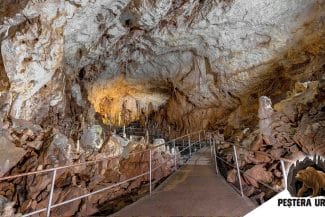 Știri de azi | FOTO În premieră, Peştera Urşilor a fost scanată 3D, în colaborarea dintre mediul academic şi specialişti - Știri de azi | 