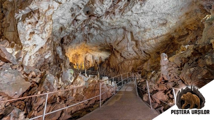 media-174289668424814800.jpg - Știri de azi Știri de azi | FOTO În premieră, Peştera Urşilor a fost scanată 3D, în colaborarea dintre mediul academic şi specialişti - Știri de azi |