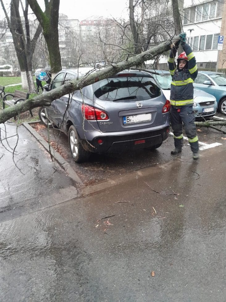 Știri de azi | Trei autoturisme, avariate după ce crengi de copac s-au rupt din cauza vântului puternic în judeţul Bihor, aflat sub avertizare cord portocaliu – FOTO - Știri de azi | 