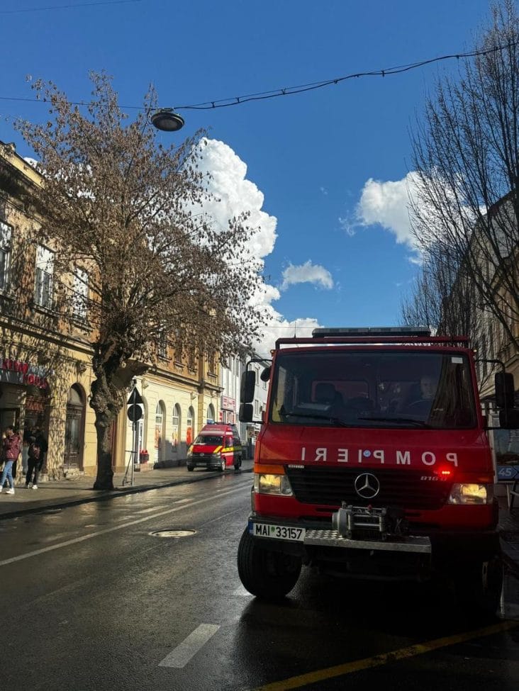 whatsapp-image-2025-03-13-at-17-17-55.jpg - Știri de azi Știri de azi | Bătrân lovit mortal de un arbore doborât de vânt, în judeţul Vrancea - Știri de azi |