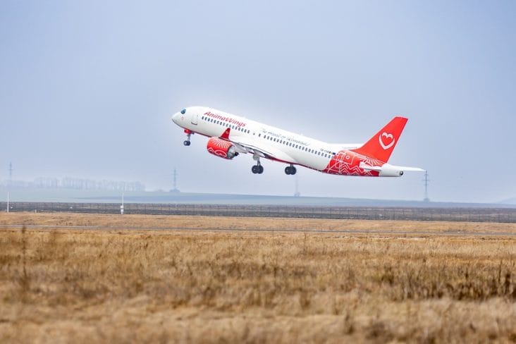 animawings-63.jpg - Știri de azi Știri de azi | AnimaWings lansează luna aceasta două noi rute internaţionale, din Bucureşti spre Stockholm şi Nisa. Tarifele pornesc de la 59,99 euro pentru Stockholm şi 69,99 euro pentru Nisa - Știri de azi |