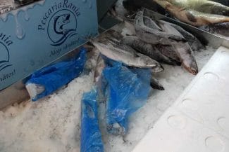 anpc-peste-11-apr.jpg - Știri de azi Știri de azi | ANPC a controlat 249 de operatori care vând preparate din peşte şi au găsit nereguli la 218 dintre aceştia/ Printre probleme: gândaci în bucătărie, peşte viu ţinut în bazine murdare, autorizaţii DSVSA expirate/ Amenzile depăşesc 1,3 milioane de lei – FOTO - Știri de azi |