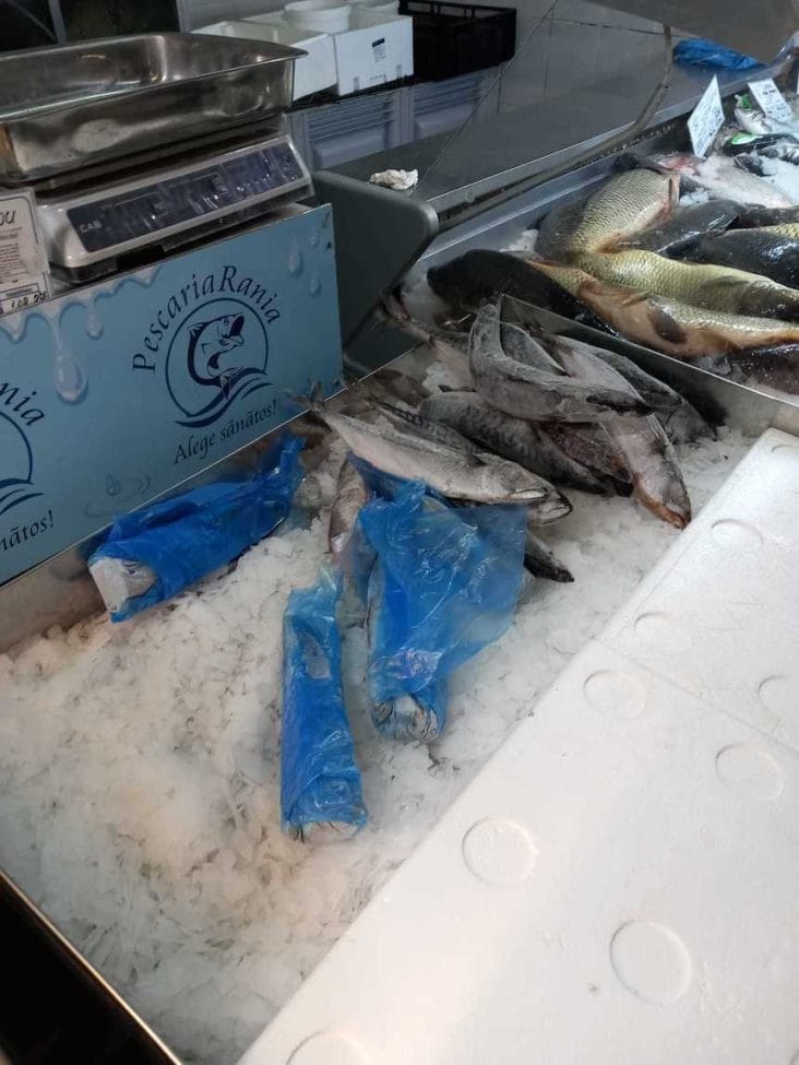 Știri de azi | ANPC a controlat 249 de operatori care vând preparate din peşte şi au găsit nereguli la 218 dintre aceştia/ Printre probleme: gândaci în bucătărie, peşte viu ţinut în bazine murdare, autorizaţii DSVSA expirate/ Amenzile depăşesc 1,3 milioane de lei – FOTO - Știri de azi | 