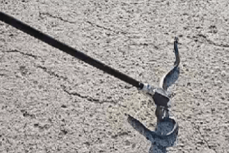 captura-de-ecran-2025-04-16-202940.png - Știri de azi Știri de azi | Jandarmii au înlăturat un şarpe din curtea unui bloc din Suceava / Recomandări - Știri de azi |