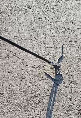 captura-de-ecran-2025-04-16-202940.png - Știri de azi Știri de azi | Jandarmii au înlăturat un şarpe din curtea unui bloc din Suceava / Recomandări - Știri de azi |