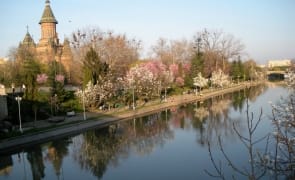 media-164363636036752200.jpg - Știri de azi Știri de azi | Punct de frontieră temporar, terestru şi naval, deschis la Uivar - Știri de azi |