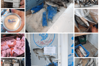 media-174438645326074500.png - Știri de azi Știri de azi | Urmează Dezlegarea la pește: Piedone a fost în control și s-a îngrozit când a văzut ce ar fi urmat să cumpere oamenii - Știri de azi |