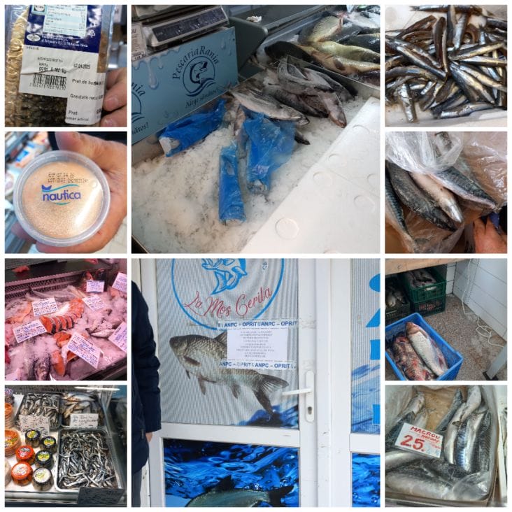 media-174438645326074500.png - Știri de azi Știri de azi | Urmează Dezlegarea la pește: Piedone a fost în control și s-a îngrozit când a văzut ce ar fi urmat să cumpere oamenii - Știri de azi |