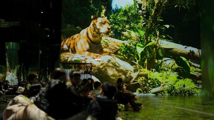 p1030211.jpg - Știri de azi Știri de azi | “Planeta Animalelor”, un nou concept de spectacole imersive la MINA Museum - Știri de azi |