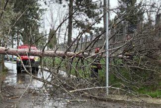 Știri de azi | Trafic dificil pe DN 17, între localitatea Poiana Stampei şi Pasul Tihuţa, în judeţul Suceava, din cauza zăpezii depuse pe carosabil / Copac căzut pe maşină în Suceava – FOTO / VIDEO - Știri de azi | 