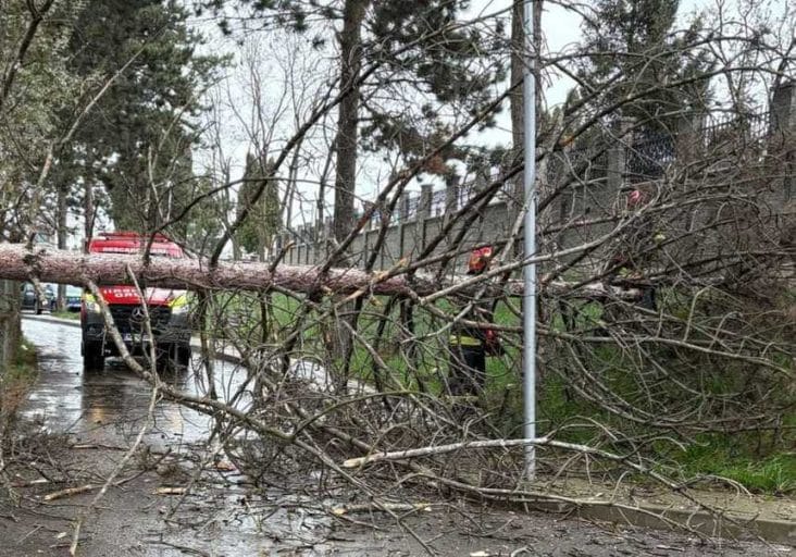 whatsapp-image-2025-04-10-at-12-10-48.jpg - Știri de azi Știri de azi | Trafic dificil pe DN 17, între localitatea Poiana Stampei şi Pasul Tihuţa, în judeţul Suceava, din cauza zăpezii depuse pe carosabil / Copac căzut pe maşină în Suceava – FOTO / VIDEO - Știri de azi |