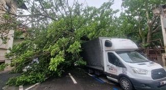 copac-bucuresti-28-mai.jpg - Știri de azi Știri de azi | Trafic oprit pe o stradă din Sectorul 1 al Capitalei, după ce un copac a căzut peste patru autovehicule parcate/ A fost avariată şi o conductă de gaze – FOTO - Știri de azi |