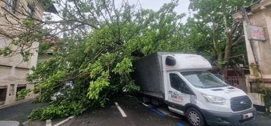 copac-bucuresti-28-mai.jpg - Știri de azi Știri de azi | Trafic oprit pe o stradă din Sectorul 1 al Capitalei, după ce un copac a căzut peste patru autovehicule parcate/ A fost avariată şi o conductă de gaze – FOTO - Știri de azi |