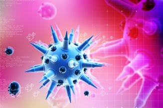 Știri de azi | Europa se confruntă cu cea mai gravă epidemie de la începutul secolului: O tulpină exotică din Orientul Mijlociu face prăpăd - Știri de azi | 