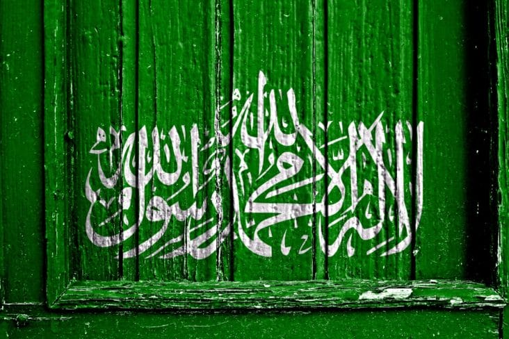 media-174629886546958400.jpg - Știri de azi Știri de azi | Hamas publică o nouă înregistrare cu doi ostatici israelieni în viață - Știri de azi |