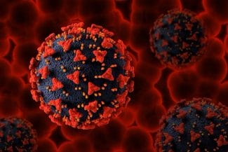 media-174687146092920200.jpg - Știri de azi Știri de azi | COVID-19 nu a pornit din China? Studiul care zguduie tot ceea ce se credea inițial - Știri de azi |