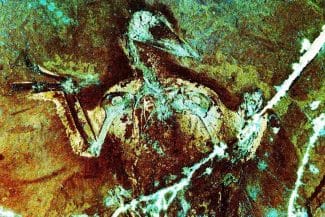 media-174797700023308000.jpg - Știri de azi Știri de azi | Oamenii de știință fac o descoperire cum nici în cele mai îndrăznețe vise nu și-au imaginat - Știri de azi |