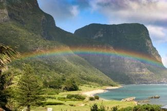 media-174798502956735100.jpeg - Știri de azi Știri de azi | Descoperire cutremurătoare pe o insulă din Australia: Păsările au acumulat atât de mult plastic, încât trosnesc și scârțâie la o simplă atingere - Știri de azi |