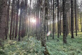 panda-foto1.jpg - Știri de azi Știri de azi | Radu Muntean filmează scurtmetrajul “Pânda”, cu Adrian Văncică în rolul principal - Știri de azi |