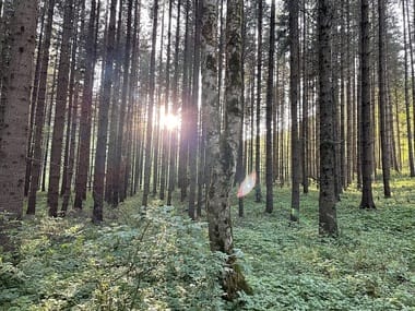 panda-foto1.jpg - Știri de azi Știri de azi | Radu Muntean filmează scurtmetrajul “Pânda”, cu Adrian Văncică în rolul principal - Știri de azi |